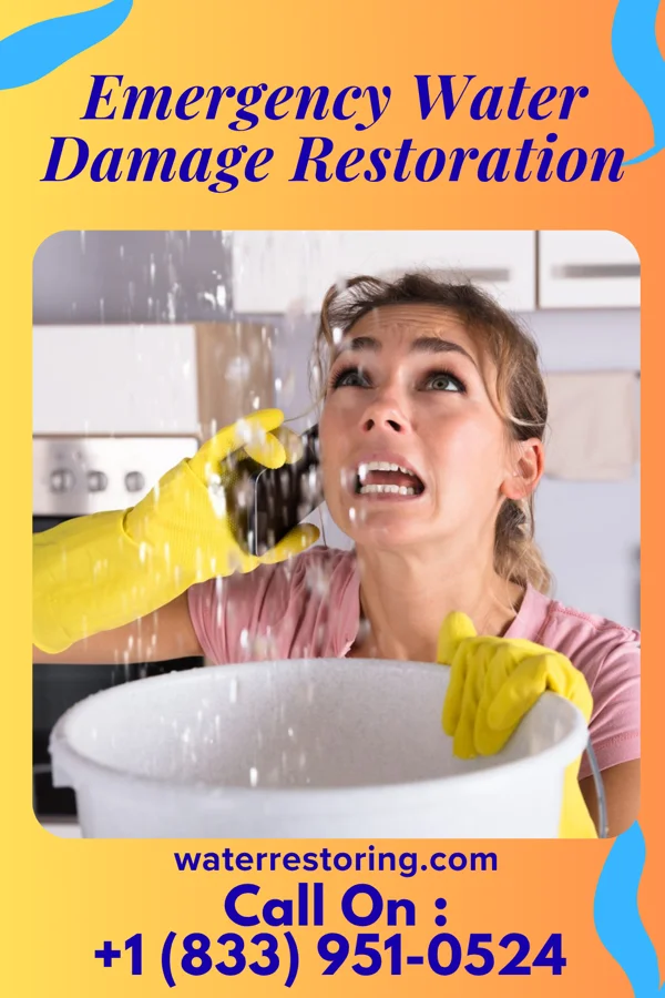 Emergency Water Damage Restoration in East Millstone, NJ