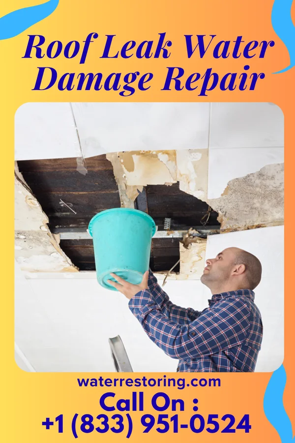 Roof Leak Water Damage Repair in East Millstone, NJ