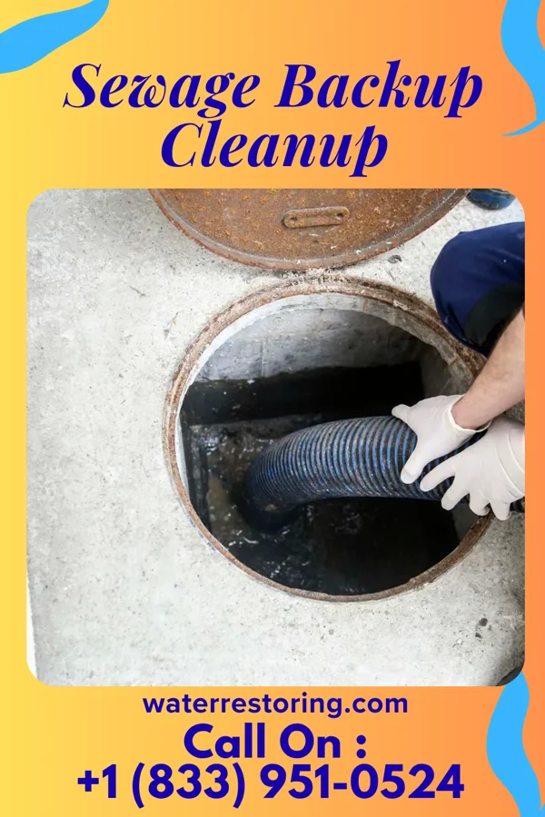 Sewage Backup Cleanup in East Millstone, NJ