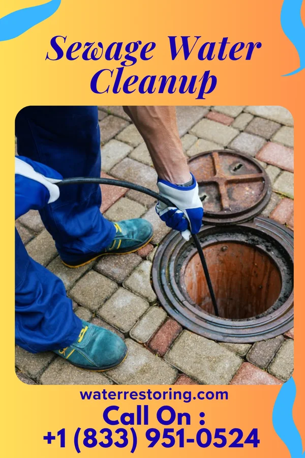 Sewage Water Cleanup in East Millstone, NJ